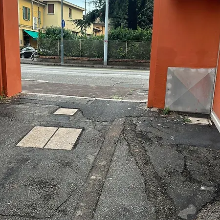 Concerti, Stadio E Aeroporto Bologna